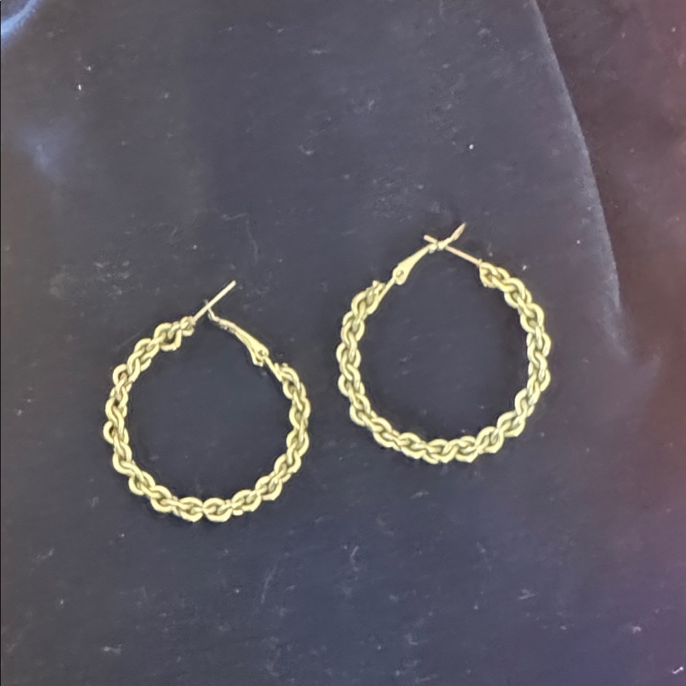Elegant Gold Hoop Earrings